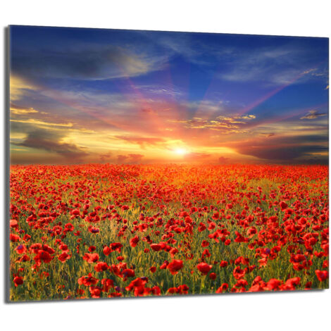 Placa protectora de vidrio para la estufa 60x52 Maki