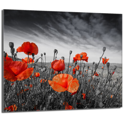 Placa protectora de vidrio para la estufa 60x52 Maki