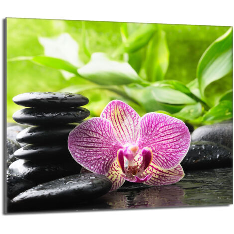 Placa protectora de vidrio para la estufa 60x52 Orchidea