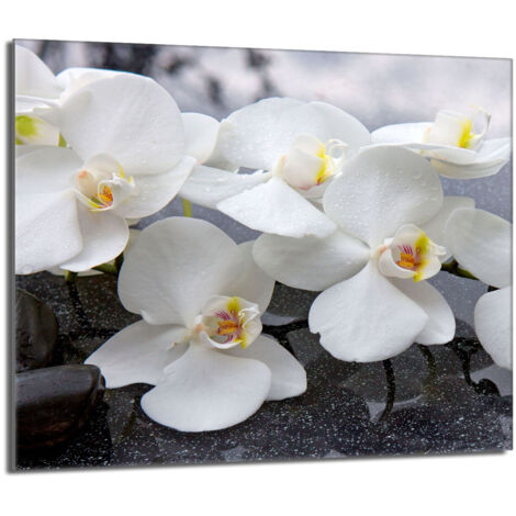 Placa protectora de vidrio para la estufa 60x52 Orchidea