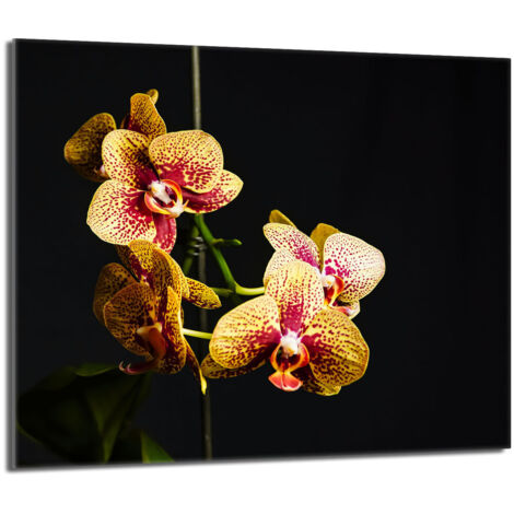 Placa protectora de vidrio para la estufa 60x52 Orchidea