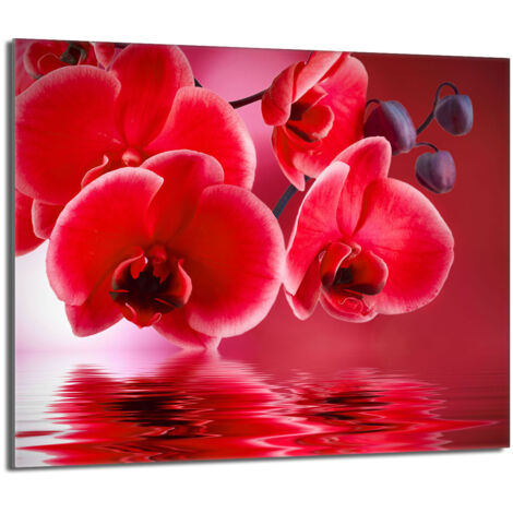 Placa protectora de vidrio para la estufa 60x52 Orchidea