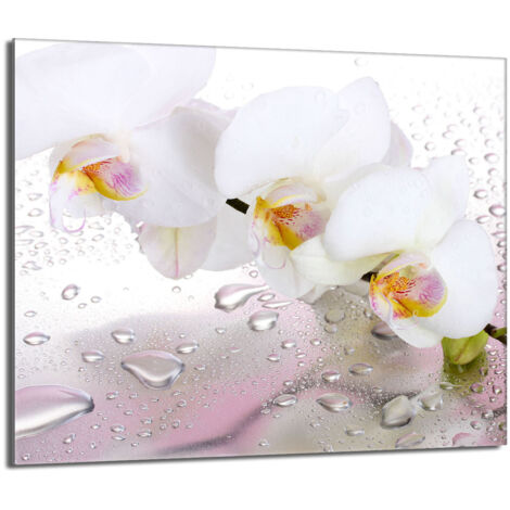 Placa protectora de vidrio para la estufa 60x52 Orchidea