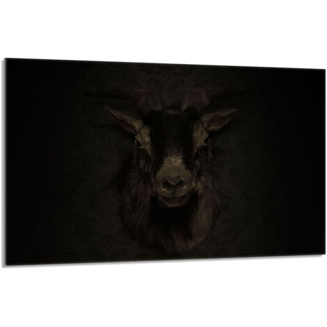 Placa protectora de vidrio para la estufa 80x52 Koza