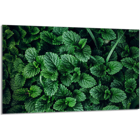 Placa protectora de vidrio para la estufa 80x52 Melisa