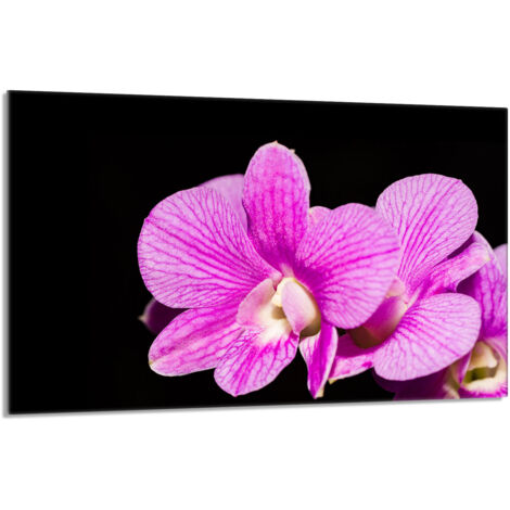 Placa protectora de vidrio para la estufa 80x52 Orchidea