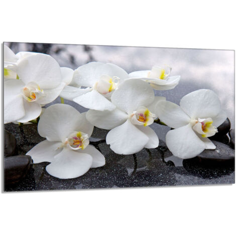 Placa protectora de vidrio para la estufa 80x52 Orchidea