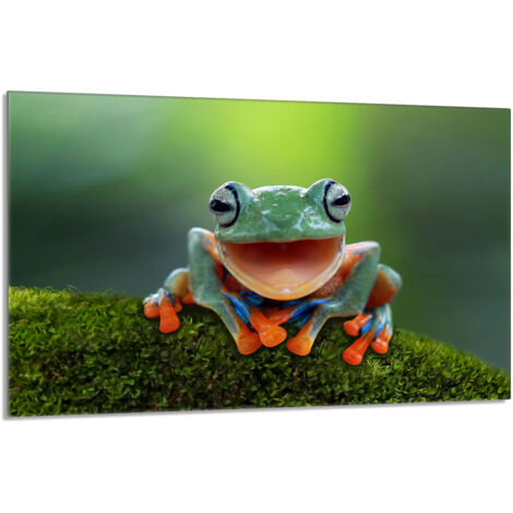 Placa protectora de vidrio para la estufa 80x52 Rana