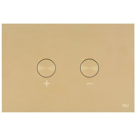 Placca doppio tasto Blink Oro cassetta incasso Oli