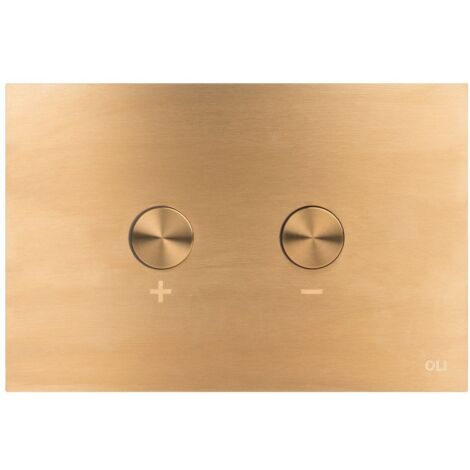 Placca doppio tasto Blink Oro Light Spazzolato cassetta incasso Oli