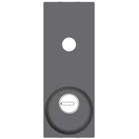 placca esterna di sicurezza per serratura da porte basculante/garage
