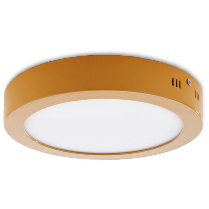 

Plafón LED 18W 1357Lm 3000ºK Circular Amarillo 30.000H [HO-JM18WR-Y-WW] | Blanco Natural (HO-JM18WR-Y-WW)