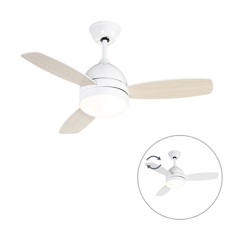 Qazqa - Ceiling fan white with remote control - Rotar