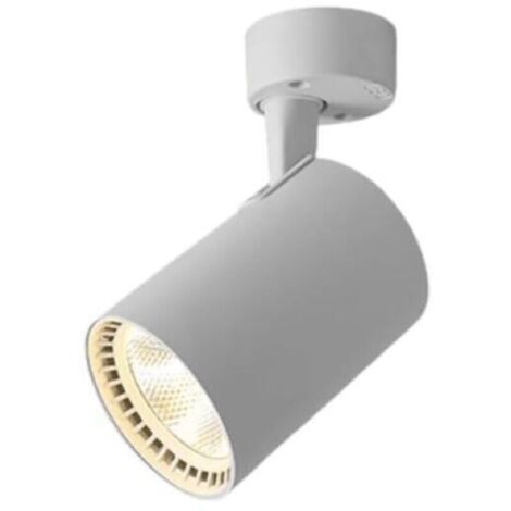 Plafoniera ad alta luminosità, antiriflesso, a montaggio superficiale, con faretto orientabile e regolabile, ideale per la decorazione di case e uffici.
