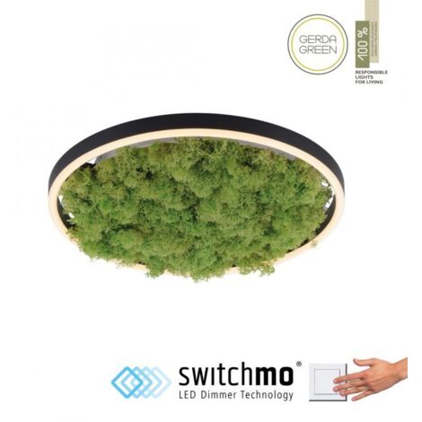 Plafoniera LED 20W muschio verde Leuchten Direkt 39cm