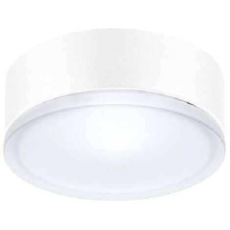 Plafoniera Prisma Performance 4961 60 W tecnopolimero bianco