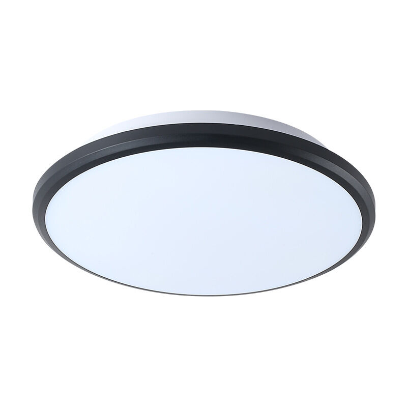 ZVD - Plafonnier à Induction Corps Humain - Lumière pour Couloir, Escalier et Allée (24W)