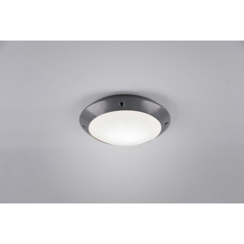 Reality - Plafonnier Led étanche culot E27 anthracite gm - Trio - Camaro
