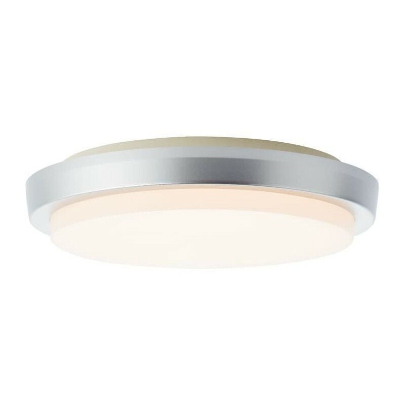 Plafonnier extérieur devora couleur argent led intégré