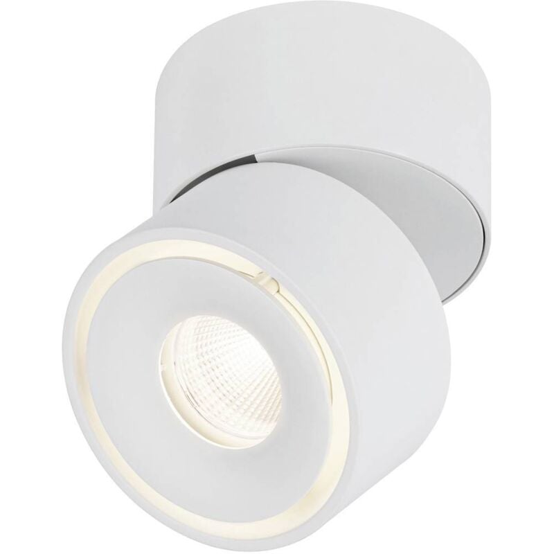 Paulmann 93373 Spircle Luminaire LED pour montage en surface LED LED intégrée 8 W blanc