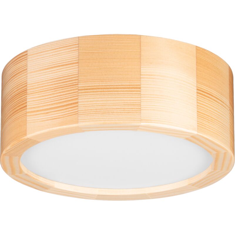 Plafonnier LEJA Plafon 200 PIN pour salon, cuisine, salle de bain, élégant