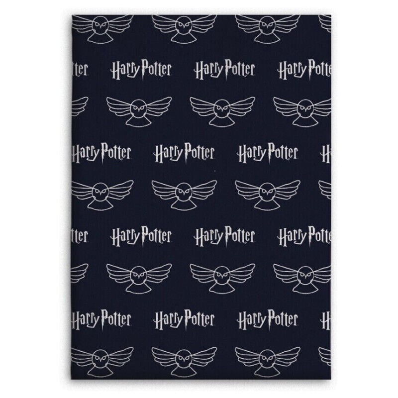 Aymax - Plaid - Harry Potter Fond Noir - 180 cm x 200 cm
