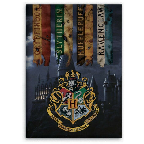 Plaid polaire Harry Potter Blason Griffondor et Château de Poudlard - 100x140 cm