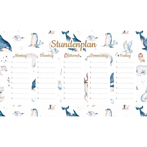 Plan de cours magnétique Animaux polaires 45x26CM