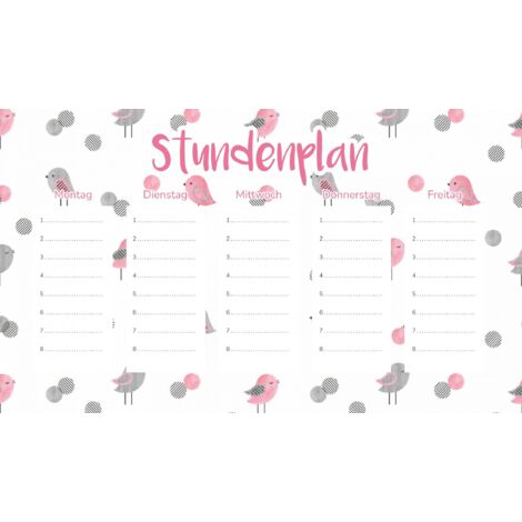 Plan de cours magnétique Petits oiseaux 30 x 17,5 cm