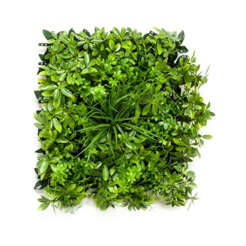 

Sin Marca - PLANCHA JARDíN VERTICAL ARTIFICIAL SCHEFFLERA Y ACORUS 50X50CM