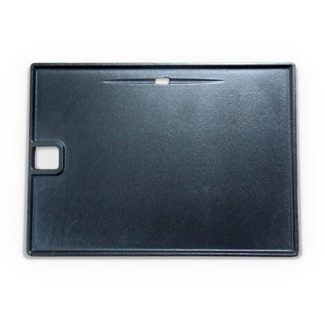 Plancha pour Rochefort et D'Artagnan - Plancha pour barbecue sweeek. cuisine extérieure