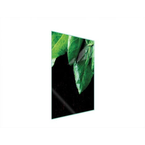PLANCHE À DÉCOUPER EN VERRE 35x52 BASILIC