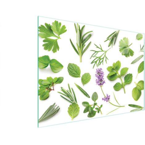 PLANCHE À DÉCOUPER EN VERRE 40x30 PLANTES