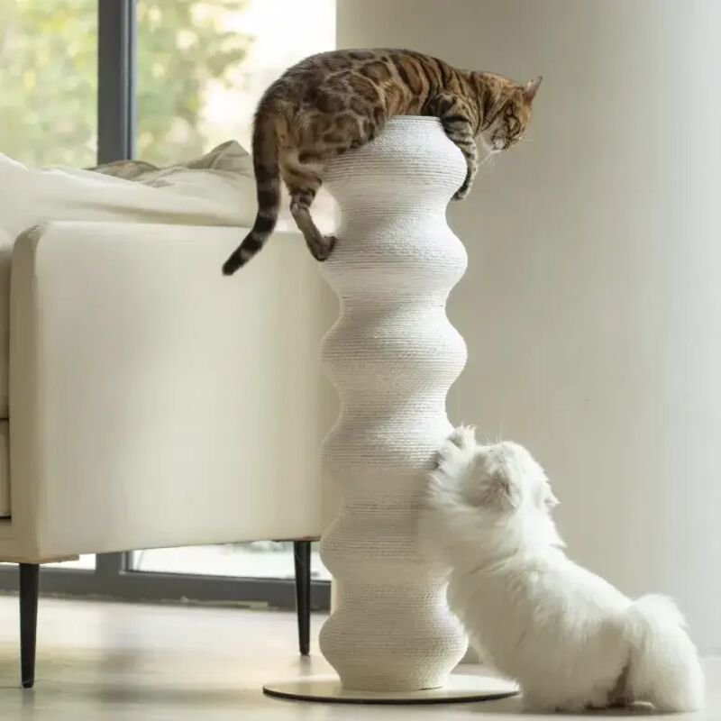 Planche à gratter pour chat, cadre d'escalade incurvé géant pour chat, résistant à l'usure, en rotin écologique, escalade/rassmatage/reposage