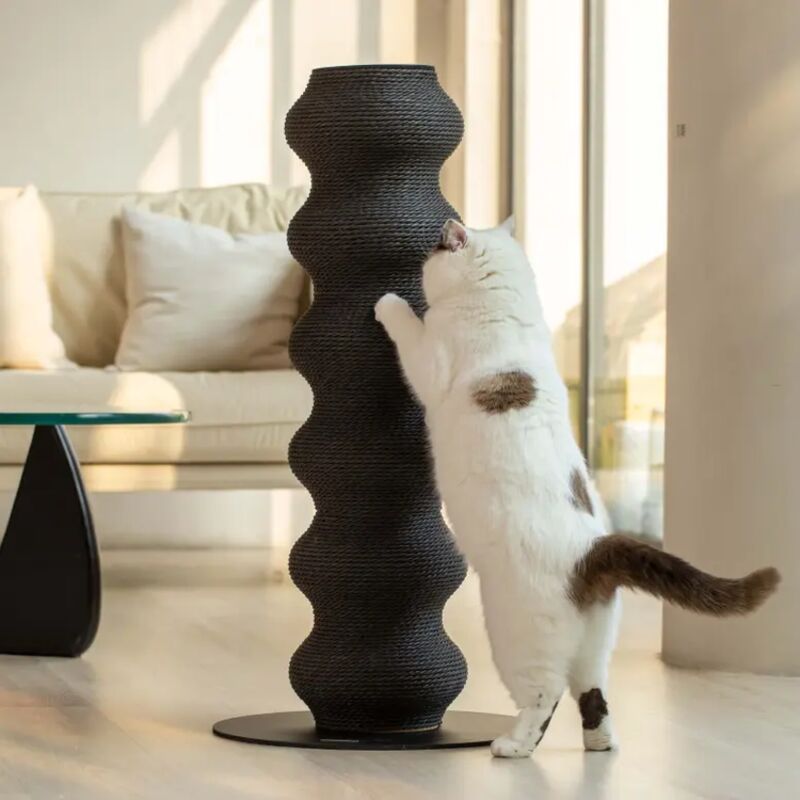 Planche à gratter pour chat, cadre d'escalade incurvé géant pour chat, résistant à l'usure, en rotin écologique, escalade/rassmatage/reposage