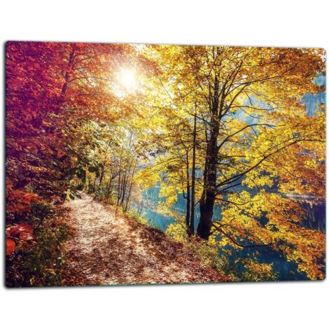 Planche  dcouper  plaque de verre 52x40 paysage