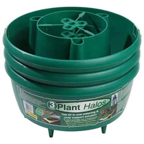 Plant Halos - Pack of 3 - Green