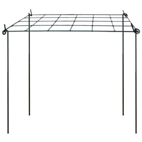 Plant Support Grow Through Rectangle Pack Of Three Garden Pride