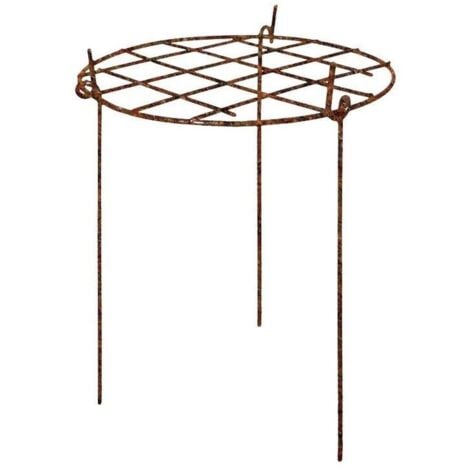 Plant Support Raw Grow Through Round Pack Of Three Garden Pride