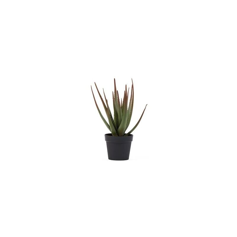 

Catral Cactus Aloe, Verde, 81 Cm