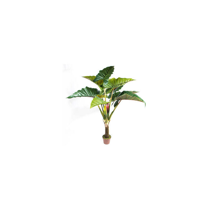 

Catral - ARCOIRIS 170 CM - PLANTA ARTIFICIAL DECORATIVA