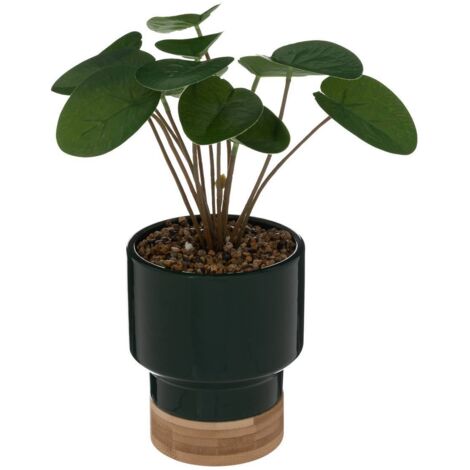 Planta artificial - Atmosphera créateur d'intérieur