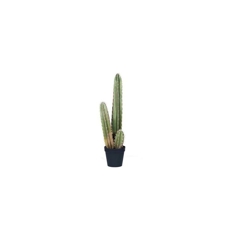 

Catral Cactus Organo, Verde, 120 Cm