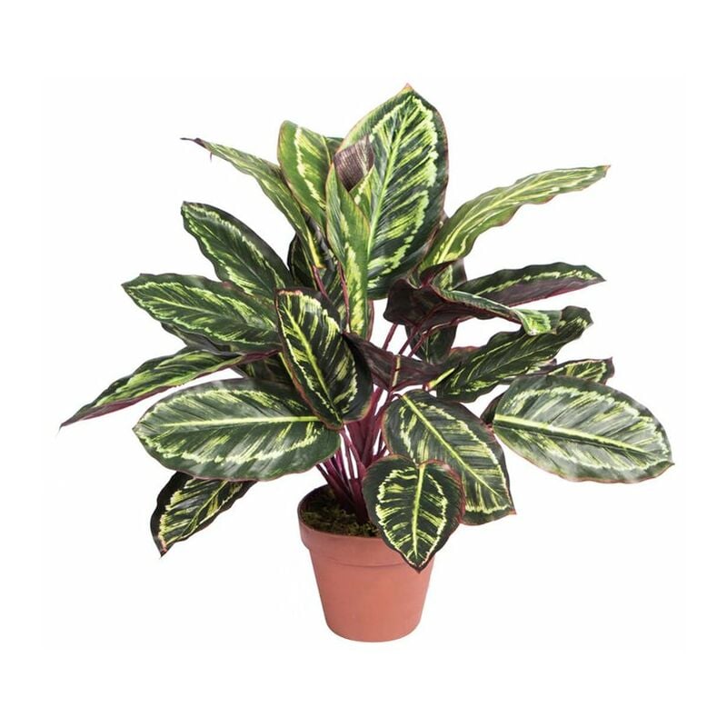 

Planta artificial Calatea cebra en maceta