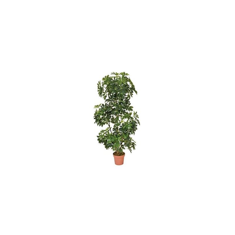 

Planta artificial cheflera 145 cm altura, Catral 74010005
