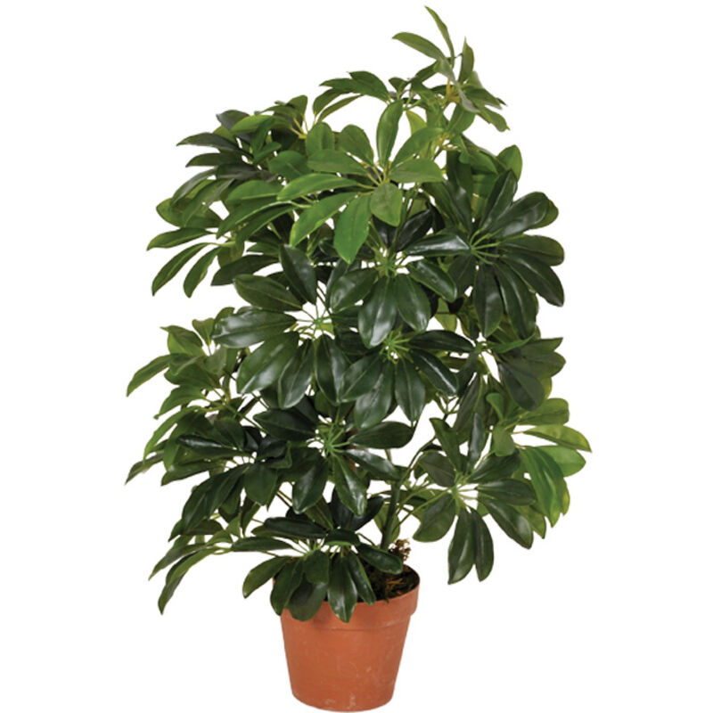

Planta artificial cheflera 65 cm altura, Catral 74010004