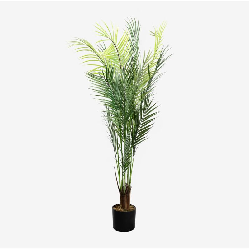 

Planta Artificial Decorativa Palmera Pigmea SKLUM - ↑115 cm