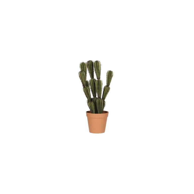 

Catral Cactus Euphorbia SUZANNAE, Verde, 90 Cm