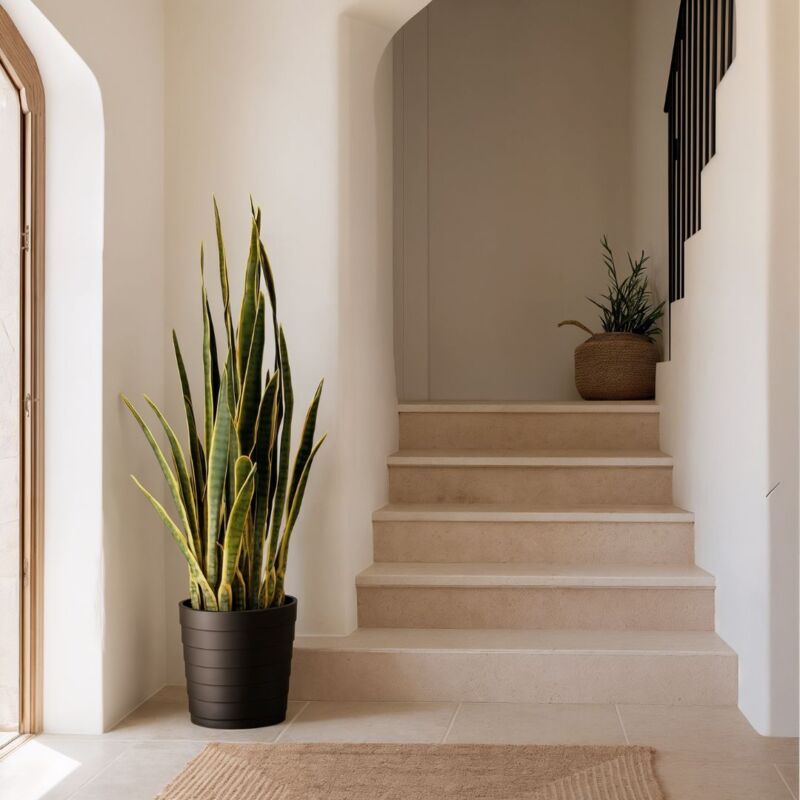 

Planta artificial lengua de tigre 105 cm altura bicolor, Catral 74010009