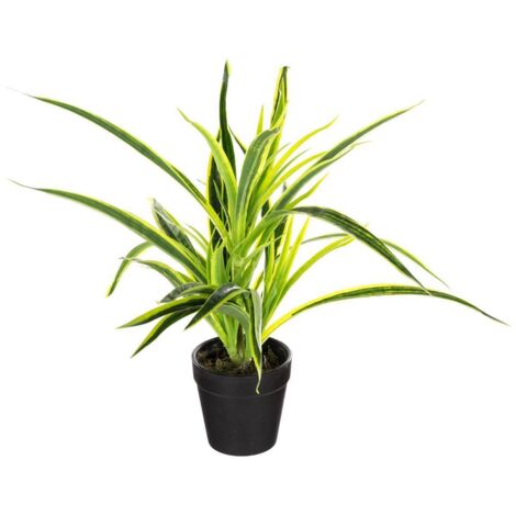 Planta artificial - maceta de cemento - H30 cm - Atmosphera créateur d'intérieur